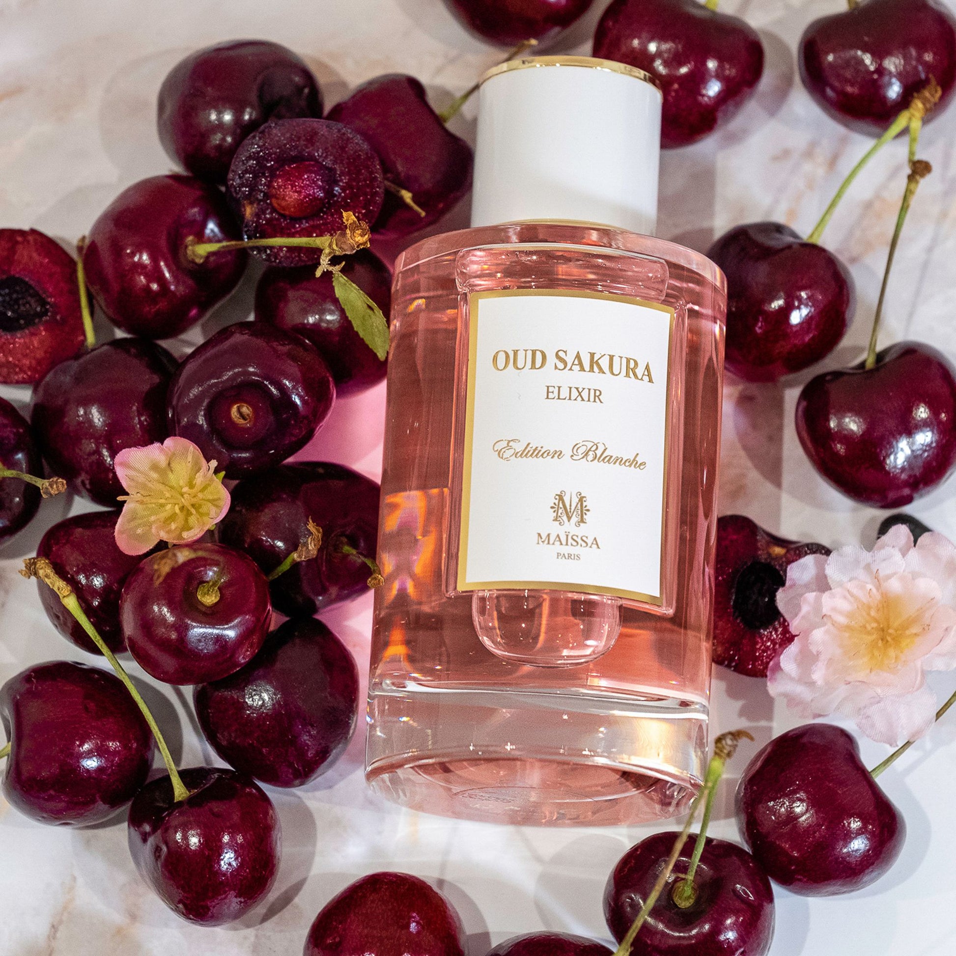 Oud Sakura Maison Maïssa